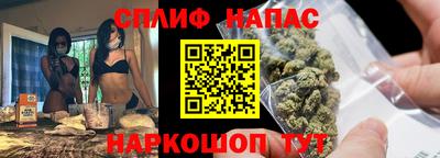 гидропоника Тара