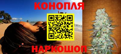 гидропоника Тара
