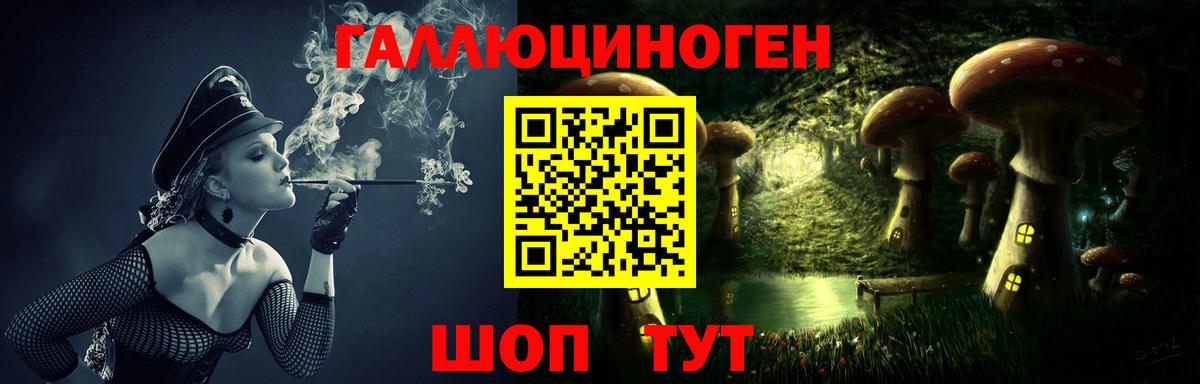 Псилоцибиновые грибы MAGIC MUSHROOMS  Вход с VPN  Новошахтинск 